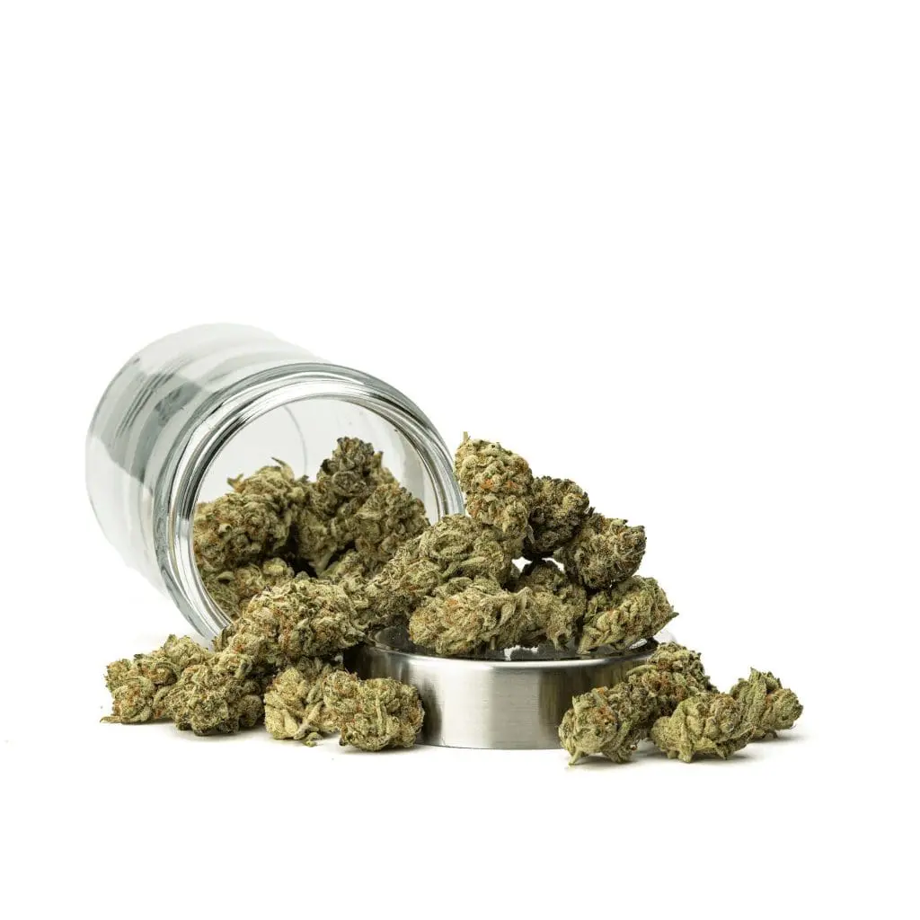 THCa Flower Grape Frosty - Image 2