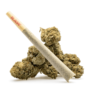 THCa Flower Pre-Roll Jokerz Candy - Image 3